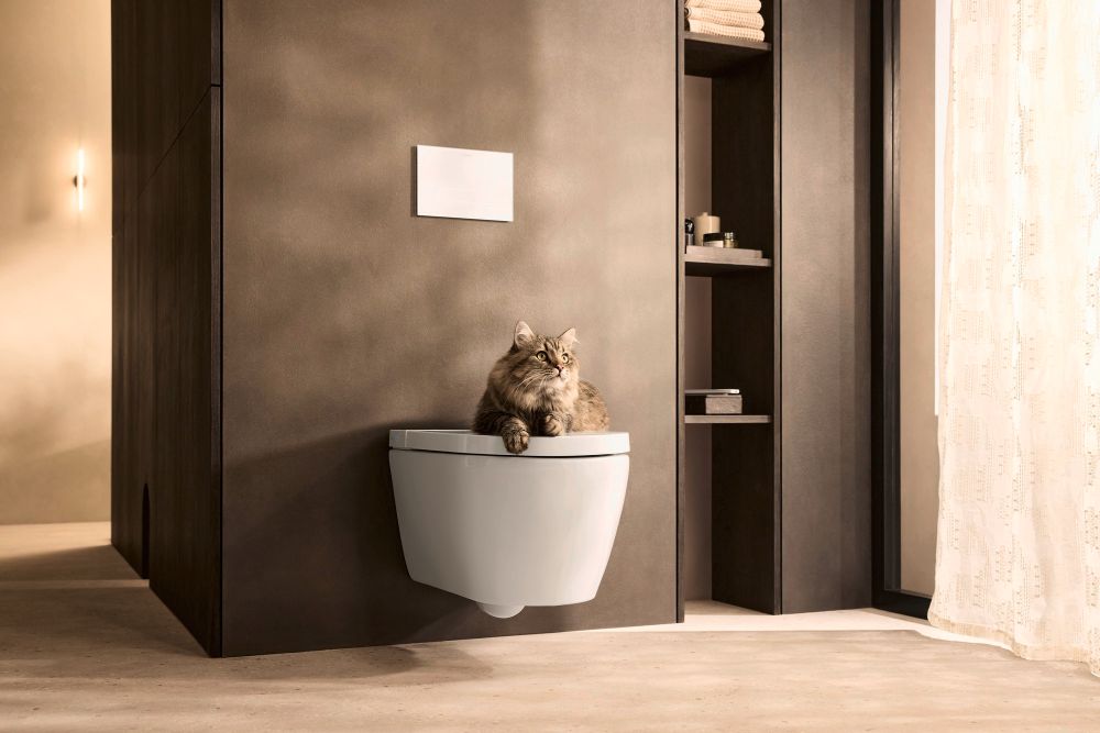 Duravit shower toilet with a cat