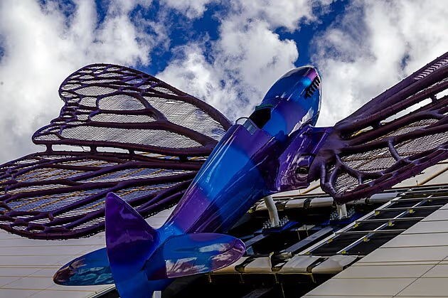 CDW Czech artist butterfly