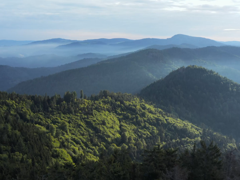 Duravit Sustainbility