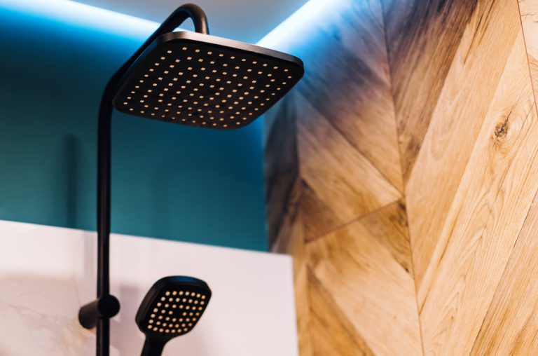 Tome)_Reynolds_BMA_Shower_head_overhead_lighting