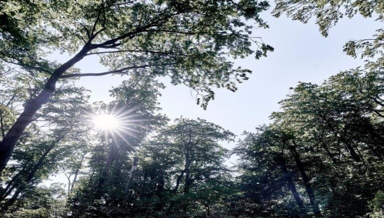 KEUCO publishes second sustainability report KEUCO-Sustainability-report